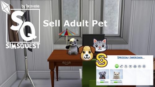 Продать взрослого питомца — Sell Adult Pet