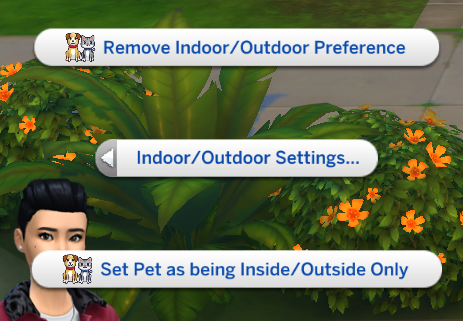 Предпочтения питомцев - Set Pets As Being Indoor Only, Outside Only, Or Both