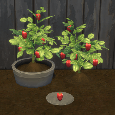 Красный перец - Red Bell Pepper
